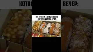 мемы с котами/котэтские мемы 