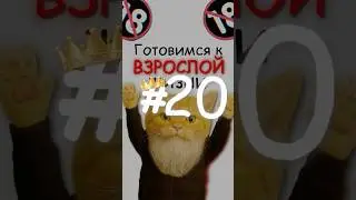 👉🏻 МК: Гайд на ОДЕЖДУ?! 🙀