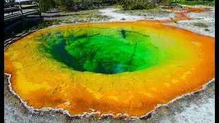 Fountain Paint Pot - Yellowstone National Park Geyser