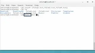 Create Files & Directories in Linux