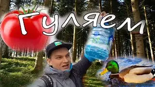 ГУЛЯЕМ!!! Томаты Утки Парк
