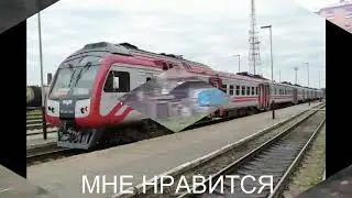 Поезд мне нравится. Пингвин Труша. 23.08.2023.