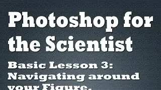 Navigating around your figure in Photoshop