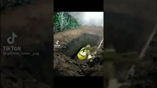 meme