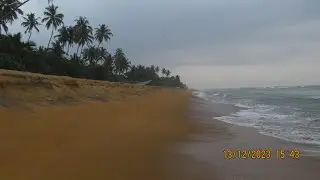 Шри-Ланка  Отель Oak Ray Haridra Beach Resort (Декабрь 2023)