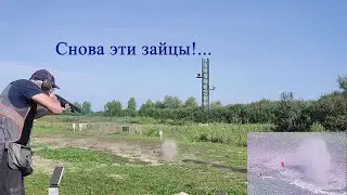 Not again with those rabbits!...