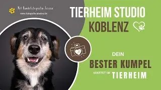 Tierheim Studio Koblenz