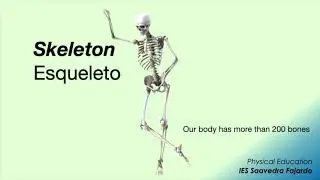 Bones - huesos #physed