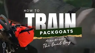 🐐 How to Train Pack Goats | Marc Warnke
