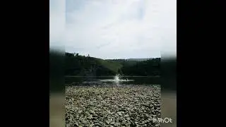 Пусть Шилка унесет мои печали.