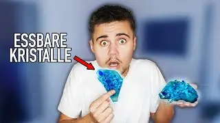 24 STUNDEN nur BLAUES essen 😨