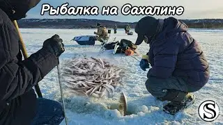 Рыбалка на Сахалине оз.Буссе. 01.2024