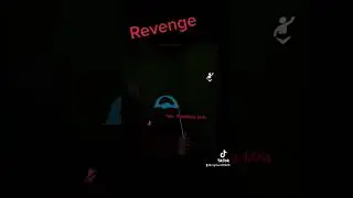 Revenge 