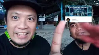 NATUTULOG NA DINOSAURO