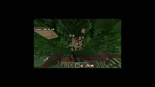 we made a minecraft server!