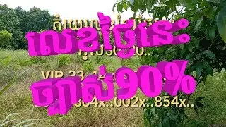 តំរុយឆ្នោតខ្មែរ 08.08.2019, Khmer lottery