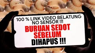 No Sensor‼️ Link V4g1n4 Belatung Viral TikTok, Buruan Sedot