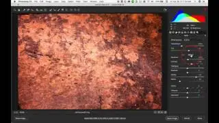 Bridge to Camera Raw: Developing the Digital Negative
