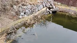 Зима? Да ладно, карася не проведёшь!)