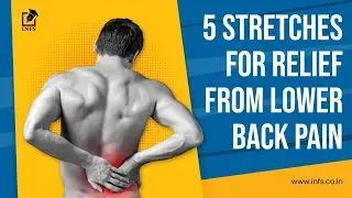 5 Easy Stretches For Lower Back Pain Relief | Fix Your Back Pain | #backpain #stretches #exercises
