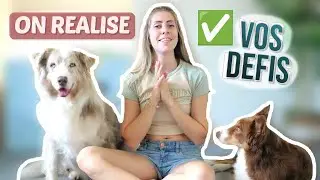 ON RÉALISE VOS DÉFIS AVEC MES CHIENS !