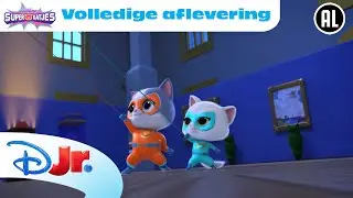 😶 Stille Verrassing | Super Katjes | Volledige Aflevering | Disney Junior België-Nederland