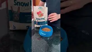 a @kiliquinha AMA a SnowDog Flores e não vive sem #brazilianpetfoods #snowdogflores #shorts
