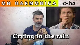 Crying in the rain on harmonica (a-ha cover)