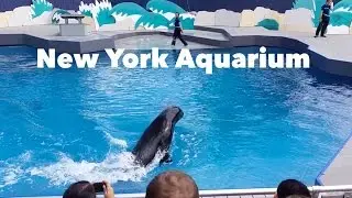 New York Aquarium in Coney Island, Brooklyn