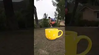 Чайку ?