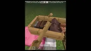 How to put sleeping villager on ground in Minecraft