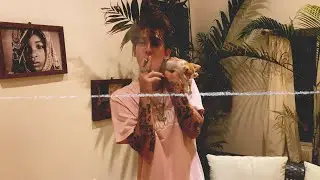 RILEY BABY - Чиз  (Dir. by @DOMAMANIC )