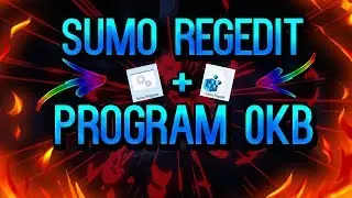 ✔️BEST REGEDIT FOR SUMO & BEST PROGRAM ✔️FASTER KNOCKBACK & HIT DETECTION✔️ ALL VERSION