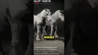 Essential Items You Need In RDR2 Online Naturalist