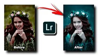 How to Change Lightroom Photo Background Color - A Tutorial for Premium Presets 