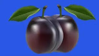 Animated Plum green screen/ Variable effects Plum fruit animation Background