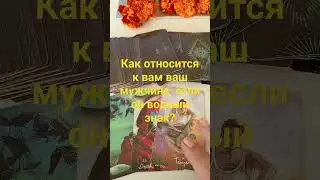 как относится к вам ваш мужчина, если он водный знак.