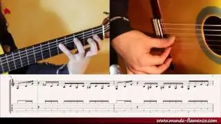 Flamenco Lessons, Pulgar