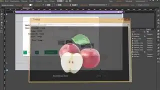 Вывод информации - товара картинки, опиции товара флажки | Интернет магазин Adobe Muse
