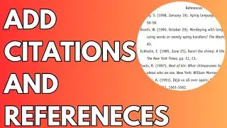 How To Add Citations and References in Research Paper (2024)