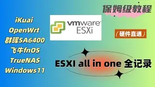 ESXI all in one保姆级教程：iKuai+OpenWrt双软路由, 黑群晖, 飞牛NAS fnOS, TrueNAS, Windows11