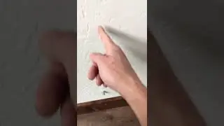Find Wall Studs Fast! 🔨🧲