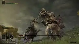 horse