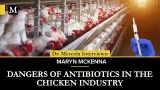 Dangers of Antibiotics in the Chicken Industry — Interview with Maryn McKenna