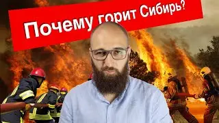 ПОЧЕМУ ГОРИТ СИБИРЬ?