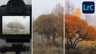 Capture to Edit With Lightroom v11 | Landscape Photography Start to Finish