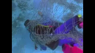 Flipper and the female scuba diver in peril - Scene 2