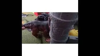 #Дракон превращается в динозавра#аниматроники