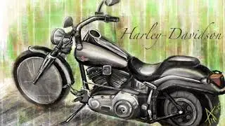Harley-Davidson Softail
