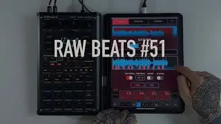 NervousCook$ - RAW Beats #51 - Making Grimy Hip Hop With Beat Butcha Filth Vol.7 Koala Sampler SP404
